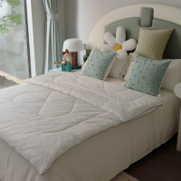 福芳床上用品纤维被云丝被/床