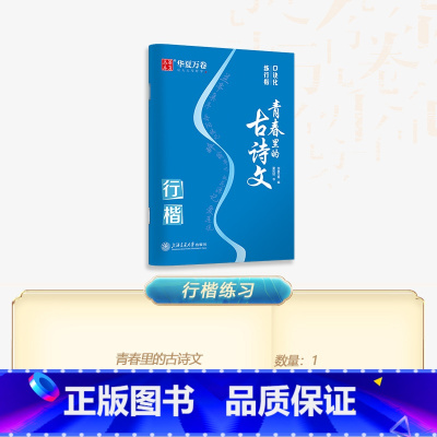 精选13篇 经典古诗文 [正版]口诀化练行楷字帖练字成人初学者中大学生硬笔书法控笔训练字行书入门行楷教程女生成年练字男字