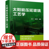 太阳能压延玻璃工艺学 彭寿,杨京安 编 化学工业出版社 新材料 化学工业