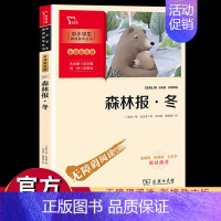 [正版]智慧熊森林报冬彩图四年级下阅读快乐读书吧课外书读物阅读经典名著儿童文学小学生丛书6-12岁童话故事书籍少儿阅读