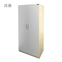沈强 双门衣柜 900*550*1800mm 1组