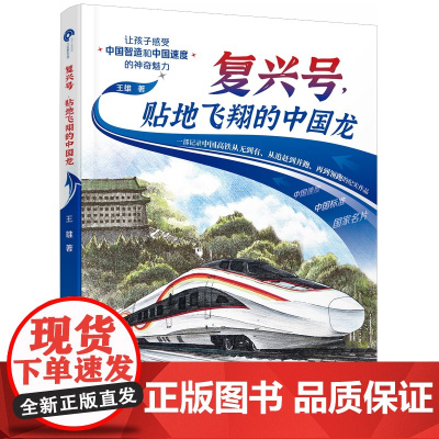 复兴号,贴地飞翔的中国龙