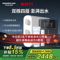 汉斯顿/Hunsdon净水器家用厨下式净水机家用直饮净水器C2净水器家用无桶双水大流量过滤器净水器