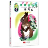 正版新书]西顿动物记(9豁耳兔名家名绘版)(精)(日)小林清之介|译