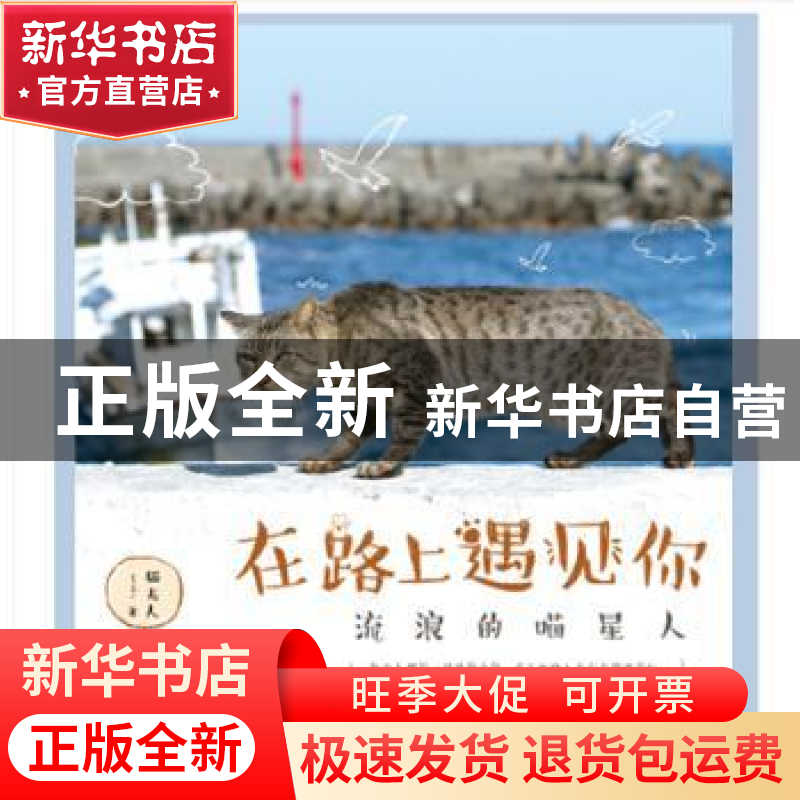 正版 在路上遇见你:流浪的喵星人 猫夫人著 测绘出版社 978750303