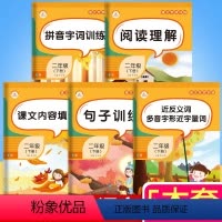[正版]全套5本 小学二年级下册语文专项训练阅读理解课文内容填空看拼音写词语生字注音句子训练近反义词同音多音字形近字同