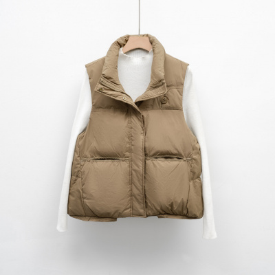 平湖驰新秋冬新款简约羽绒服女马甲短款立领马夹外穿背心坎肩外套