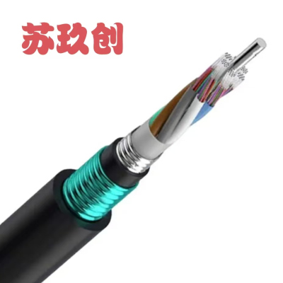 苏玖创 直埋光缆GYTA53-20B1.3 米 米