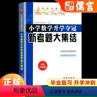 数学 小学六年级 [正版]新考题大集结小学数学升学夺冠小升初总复习六年级知识大集结数学计算题强化训练必刷题资料包知识大全