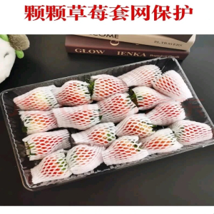 嘉十里现摘红颜草莓(26-34g) 大果1000g