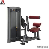 康力强LS519商用坐式背部伸展后压背肌练习肌肉专项训练局部型力量器械