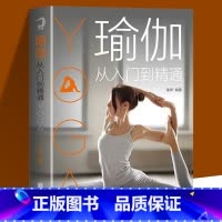 [正版] 瑜伽从入门到精通 初学者零基础入门级瑜伽教程 美容 瘦身 塑形 健身一本搞定 瑜伽初学者的入门宝典熟练者的进