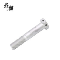 蔚期 GB32.1六角头头部带孔螺栓 M20*100半牙 个