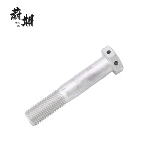 蔚期 GB32.1六角头头部带孔螺栓 M20*100半牙 个