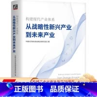 [正版] 构建现代产业体系 从战略性新兴产业到未来产业 中国科学院科技战 略咨询研究院 机工