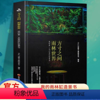 [正版]方寸之间 雨林世界 我的第一本雨林缸造景书 生态缸造景详解和介绍 雨林缸造景制作指南书籍 黑龙江科技
