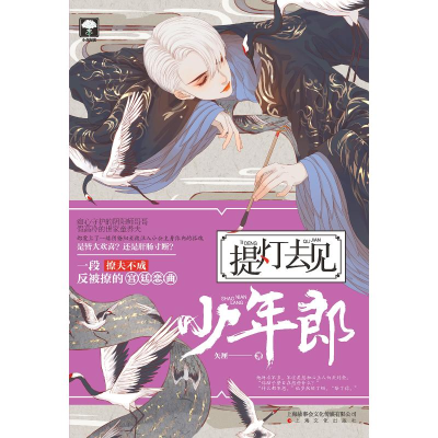 醉染图书提灯去见少年郎9787553515
