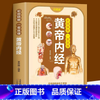 [正版]彩图精解一看就懂黄帝内经皇帝内经灵枢素问白话文版原文注释译文通俗易懂 实用的四季养生智慧皇帝内经中医养生基础理