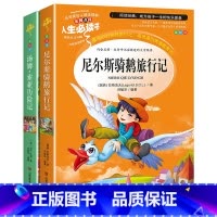 [正版]阅读汤姆索亚历险记 尼尔斯骑鹅旅行记 小学生课外阅读书籍三四五六年级必读青少年儿童文学读物故事书原著完整版