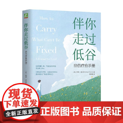 伴你走过低谷 悲伤疗愈手册 梅根·迪瓦恩 著 心理学