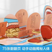 [M]揭秘人体-9787541766664