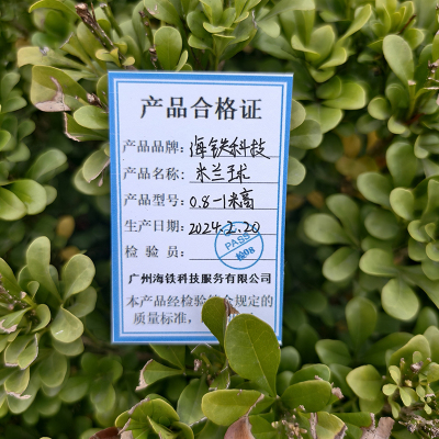 海铁科技米兰球0.8-1米高/盆