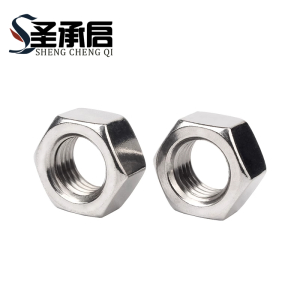 圣承启 细牙螺帽 M10*1 个