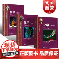 化学上册+下册+习题详解 2021新版高中学科强基丛书上海教育出版社高中化学同步辅导高一高二高三例题精讲解题方法训练高中
