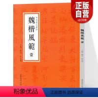 [正版]新书 北魏墓志集珍·魏楷风范.壹 顾涛,刘永建 编 辽宁美术出版社
