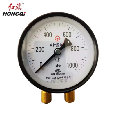红旗 定制检测款双针压力表 Y100 1000KPA其他压力值请备注 块