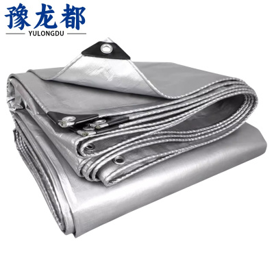 豫龙都 雨棚布 3*10m 张