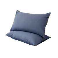 百纳千禧 枕套 BNQX-ZT100 48*74cm 单位:对