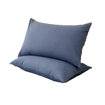 百纳千禧 枕套 BNQX-ZT100 48*74cm 单位:对