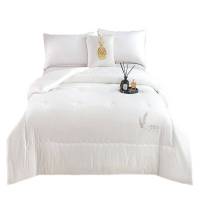 一卜大豆被芯Y02/件