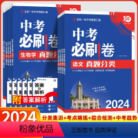 [全套9本]语数英物化生史地政 初中通用 [正版]2024中考必刷卷真题分类试卷九年级初三中考语文数学英语物理化学生物政