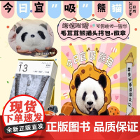 赠熊猫头挎包+冰箱贴]2025年熊猫日历大礼盒 今日宜 吸 熊猫 每日一句躺平文学 松弛感 可爱陪伴一整年 曾祥录写真
