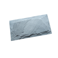 诚智旺 外墙墙砖 20*40cm/块