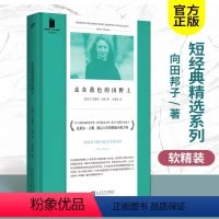 [正版]克莱尔吉根潜心八年的短篇小说力作 外国经典小说 走在蓝色的田野上 短经典精选软精装 爱尔兰短篇小说女王