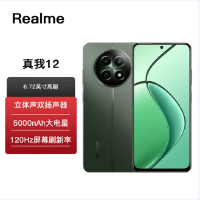 Realme 真我12 苍岭绿 12GB+512GB 全网通5G 1亿像素大师影像 5000mAh长续航 老人学生老年人备用机智能真我手机