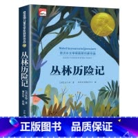 丛林历险记(单本) [正版]纽伯瑞国际儿童文学金奖小说系列全套10册中小学生三四五六年级学校课外书阅读经典读物儿童文学初