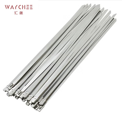 汇继 不锈钢扎带 10*500mm条