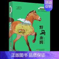 野马奔腾 [正版]全套6本雪山狼魂野马奔腾金蟒狂舞猴王荣耀雄鹰绝唱沈石溪的书籍动物小说动物救助站大王系列小学生三四五六年
