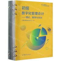 [N]初级数字化管理会计--理论案例与实训(数字化管理会计1+X证书制度系列教材)-9787040556735