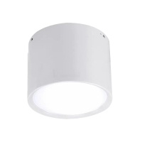 铁邦邦 筒灯8寸 20W 个