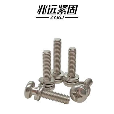 兆远紧固 不锈钢半圆头三组合螺丝螺钉(个)(4*30)