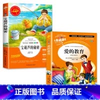 [正版]全套2册爱的教育原著完整版宝葫芦的秘密张天翼小学生课外阅读书籍三年级四年级阅读的课外书经典书目宝葫芦里的秘密A