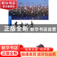 正版 惠安的鸟 刘荣成 中国林业出版社 9787503855276 书籍
