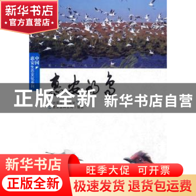 正版 惠安的鸟 刘荣成 中国林业出版社 9787503855276 书籍