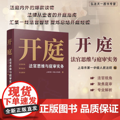 2024新书 开庭 法官思维与庭审实务 提炼总结开庭经验 技巧 裁判思路 中国法治出版社 9787521648164