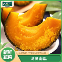 [苏鲜生]山东贝贝小南瓜 新鲜蔬菜 净重9斤 新鲜采摘 软糯香甜